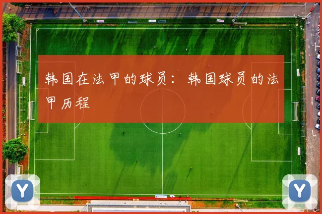 韩国在法甲的球员:韩国球员的法甲历程