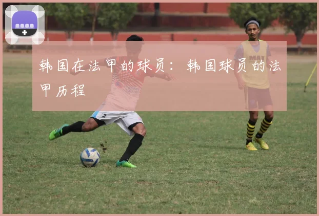 韩国在法甲的球员:韩国球员的法甲历程