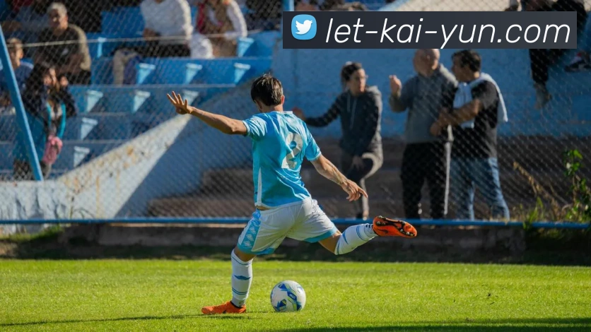 开云平台生态图