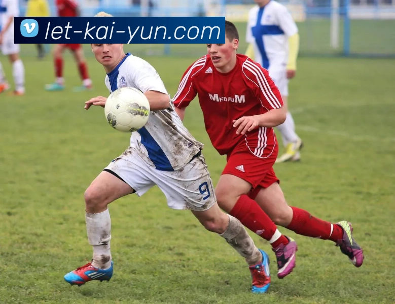 鹰伯尔健身器材：质量与创新的代表